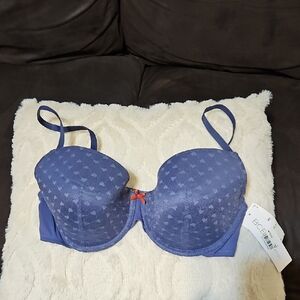 NWT BCBG Blue Bra with Red Accent